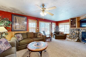 Télévision, cheminée, lecteur de DVD, livres