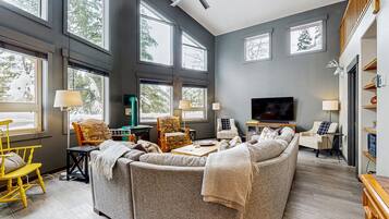 Una televisión, una chimenea, un reproductor de DVD, una videoteca