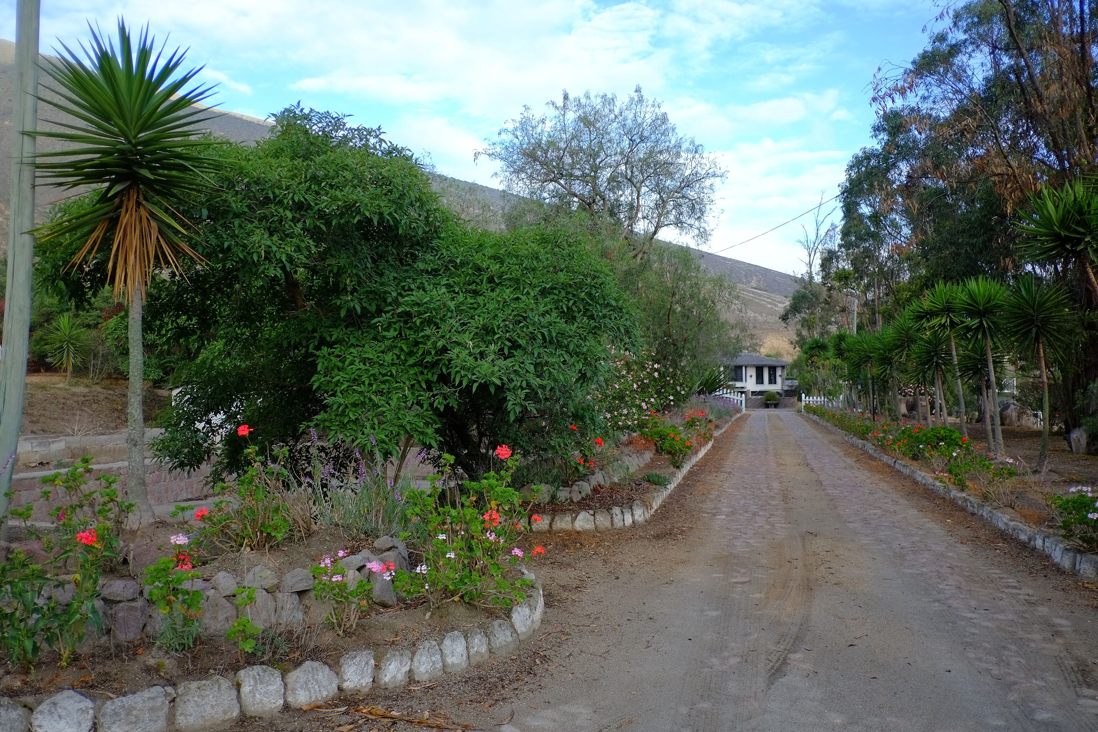 Jardines del alojamiento