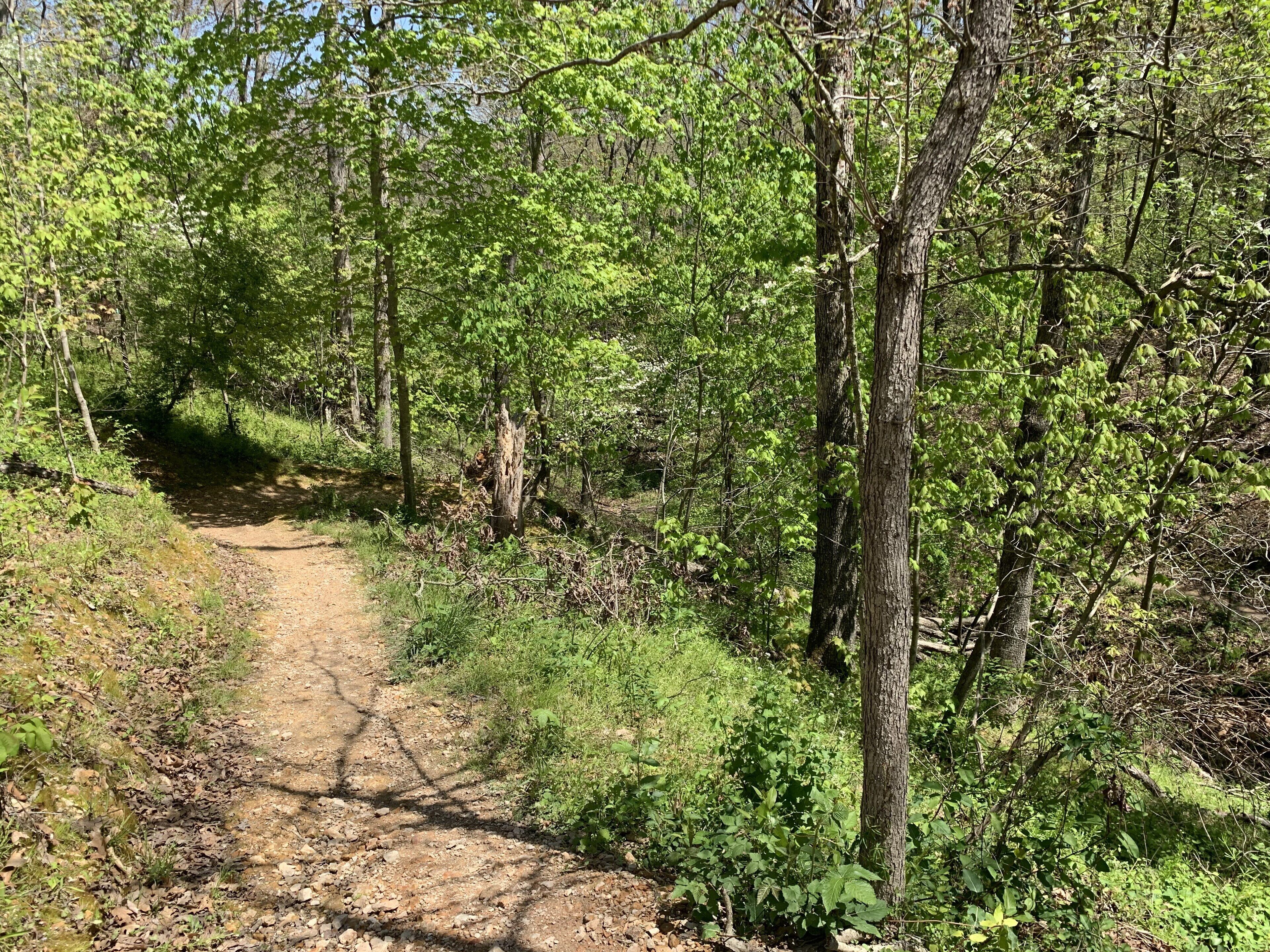 Hike or bike to Tanyard starts at the bike crossing on our street!