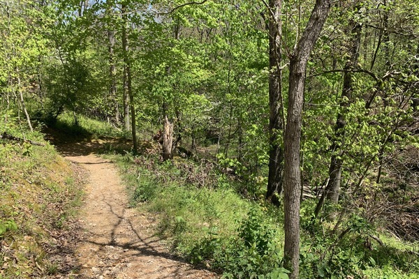 Hike or bike to Tanyard starts at the bike crossing on our street!