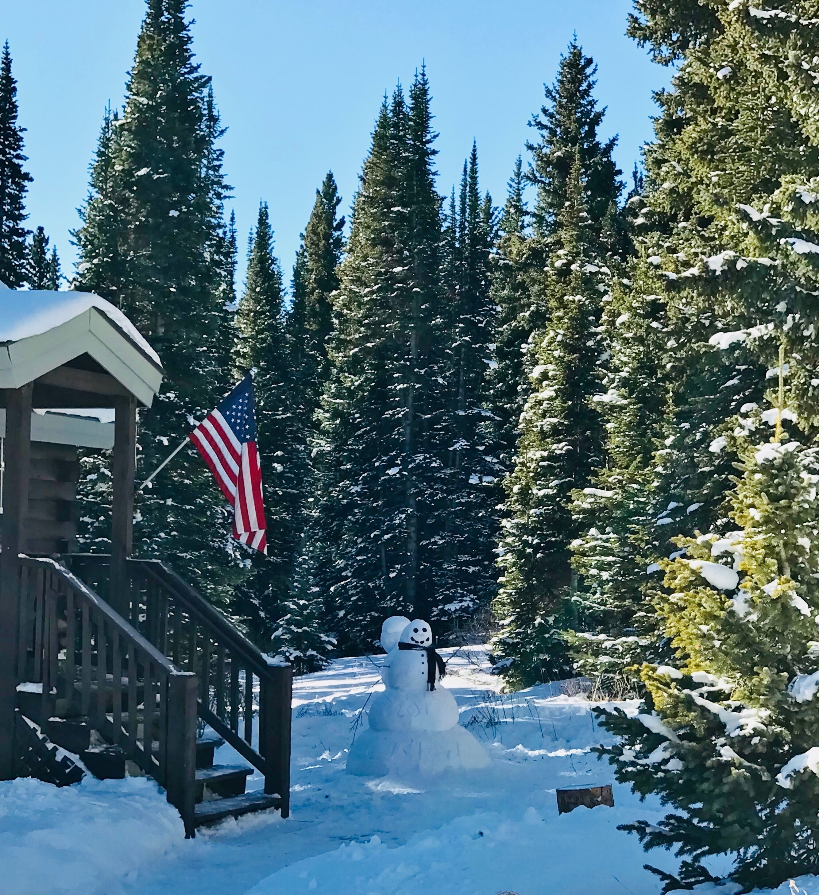 Un bonhomme de neige avec un drapeau, dans une forêt enneigée.
