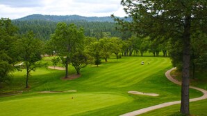 A golf course with a well-maintained green, sand bunkers, and a path curving through the trees. - Woodsy Hideaway~Yosemite views, your getaway starts here, it's a Guest Favorite! (Groveland)