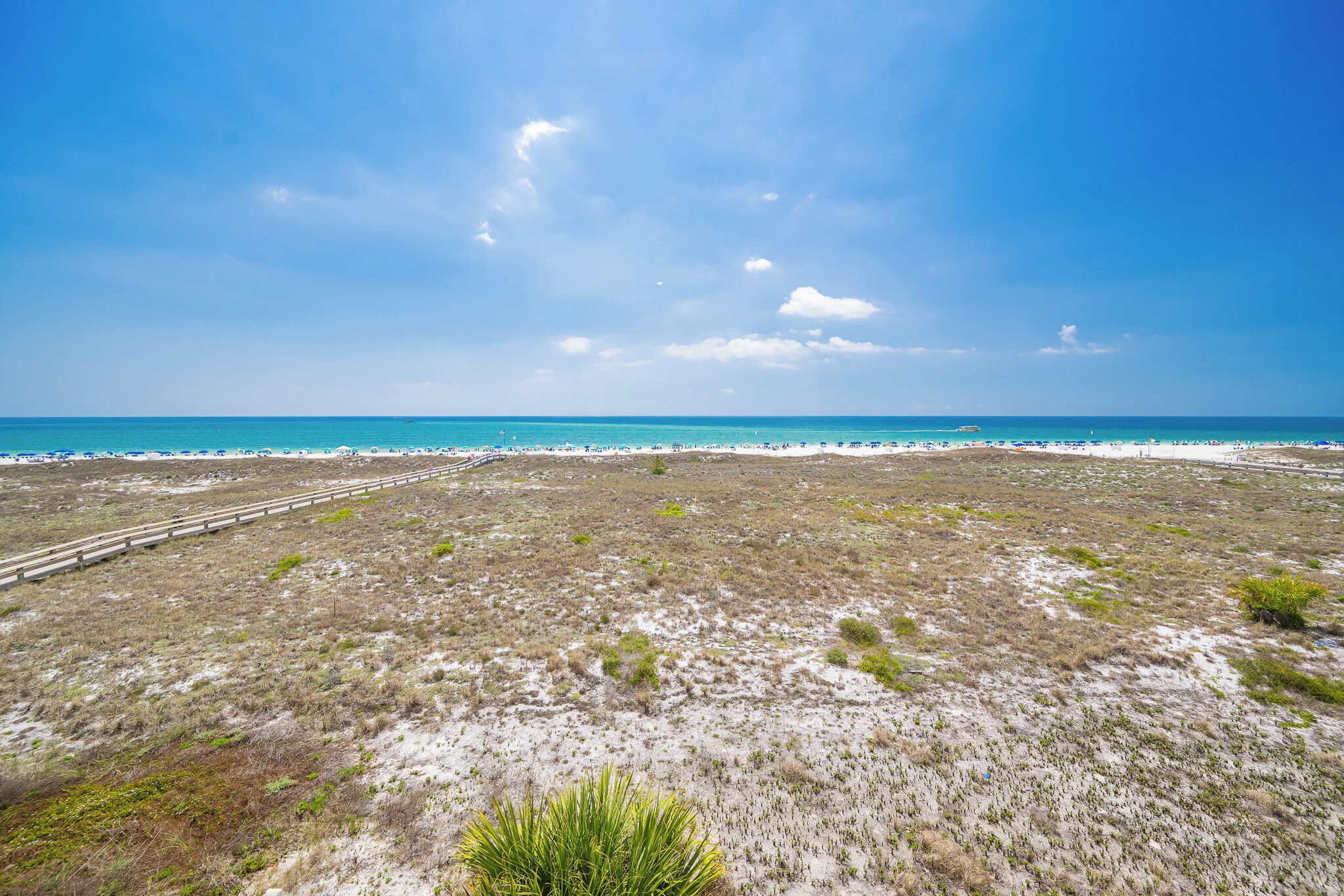 A beach with a clear sky, sandy terrain, and sparse vegetation.