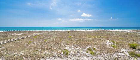 A beach with a clear sky, sandy terrain, and sparse vegetation.