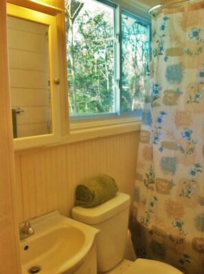 Combined shower/bathtub, hair dryer, towels, soap - Cutest Cottage Near Beach!  135 Summers Old!  Walk Everywhere! (Grand Haven)