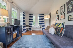 Televisión, chimenea, reproductor de DVD y libros 