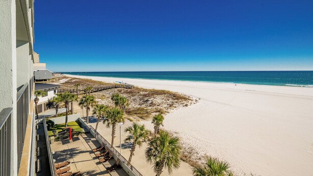 Vista a la playa desde un balcón, con cielo despejado, arena y palmeras.
