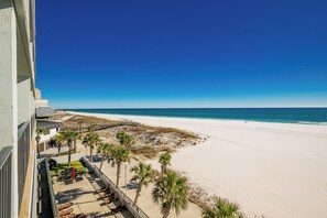 A beach view from a balcony with a clear sky, sandy beach, and palm trees.