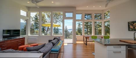 Smart TV, DVD player, books, music library