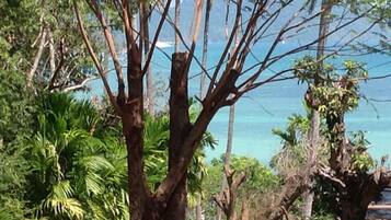 Deluxe Room with Ocean View | Utsikt från rummet