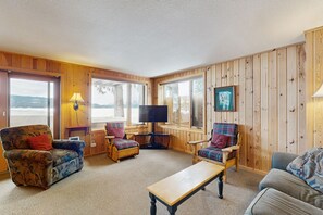 TV, fireplace, DVD player, books