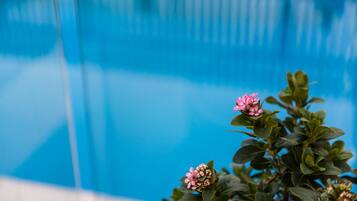 Blick auf ein Schwimmbecken mit blauem Himmel und einer Pflanze mit rosa Blüten.