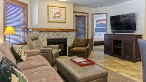 TV, fireplace, DVD player