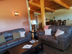 TV connectée, cheminée, lecteur de DVD, livres