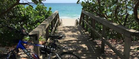 Playa en los alrededores