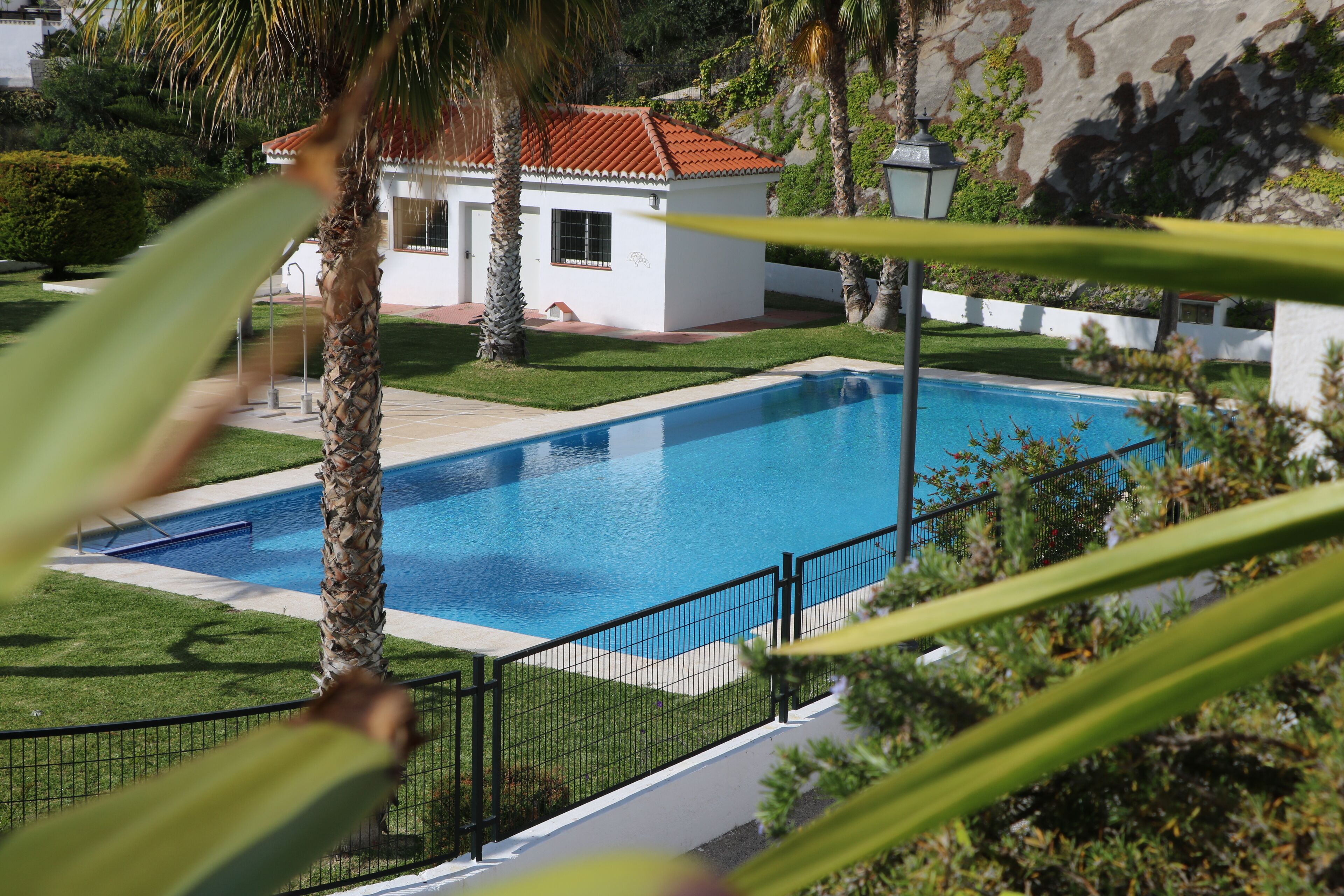A swimming pool with a white building in the background, surrounded by greenery.