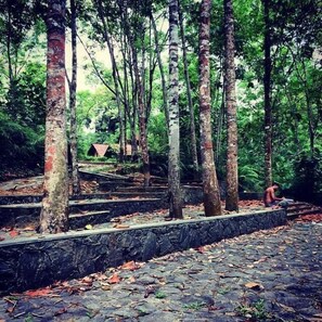 Áreas de la propiedad