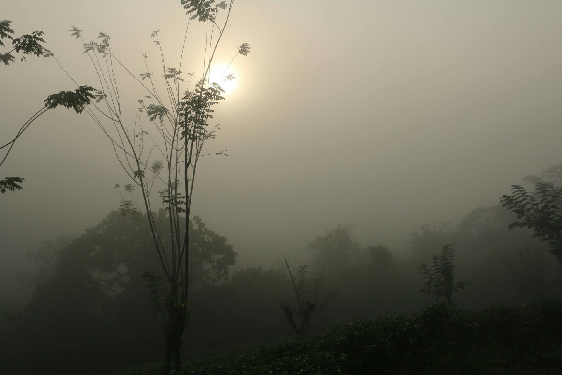 Monsoon Adventure Park