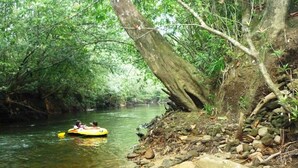 A river with a raft and dense greenery.