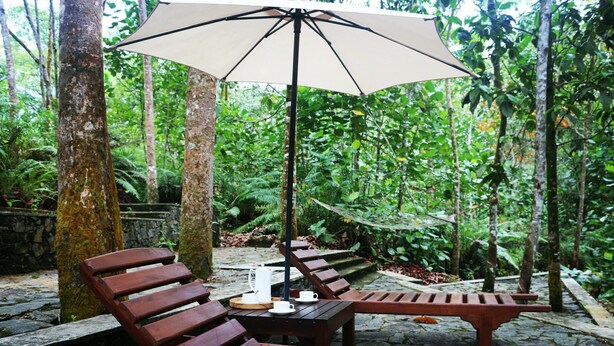 A wooden bench and table set under a large umbrella in a lush, green forested area.