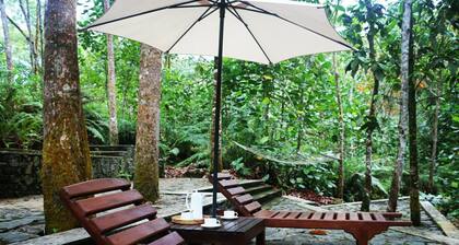 Monsoon Adventure Park