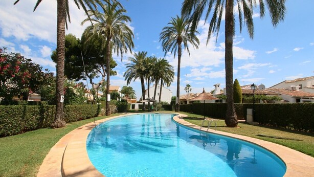 Una piscina con borde curvo, rodeada de palmeras y un césped cuidado.