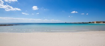 Bilo Corallo A by BarbarHouse