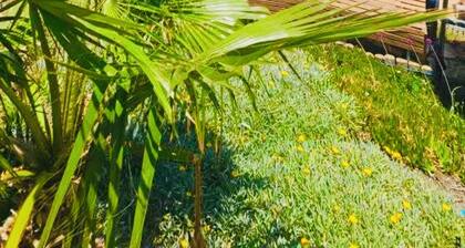 Villa de luxe avec piscine, Protaras