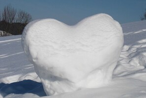 Nicht klassifiziertes Bild, 3 von 26, Schaltfläche