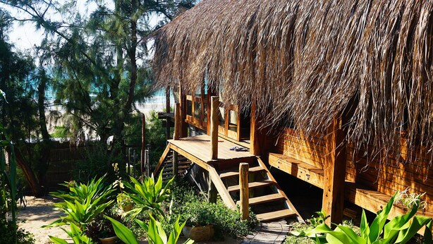 A thatched-roof structure with a wooden deck and steps leading up to it, surrounded by lush greenery. - Casa Algodoal (Tofo)