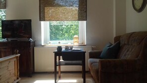 Apartamento (NIKLAS +20€ cleaning fee per stay) | Zona de estar | Una televisión de pantalla plana, una chimenea