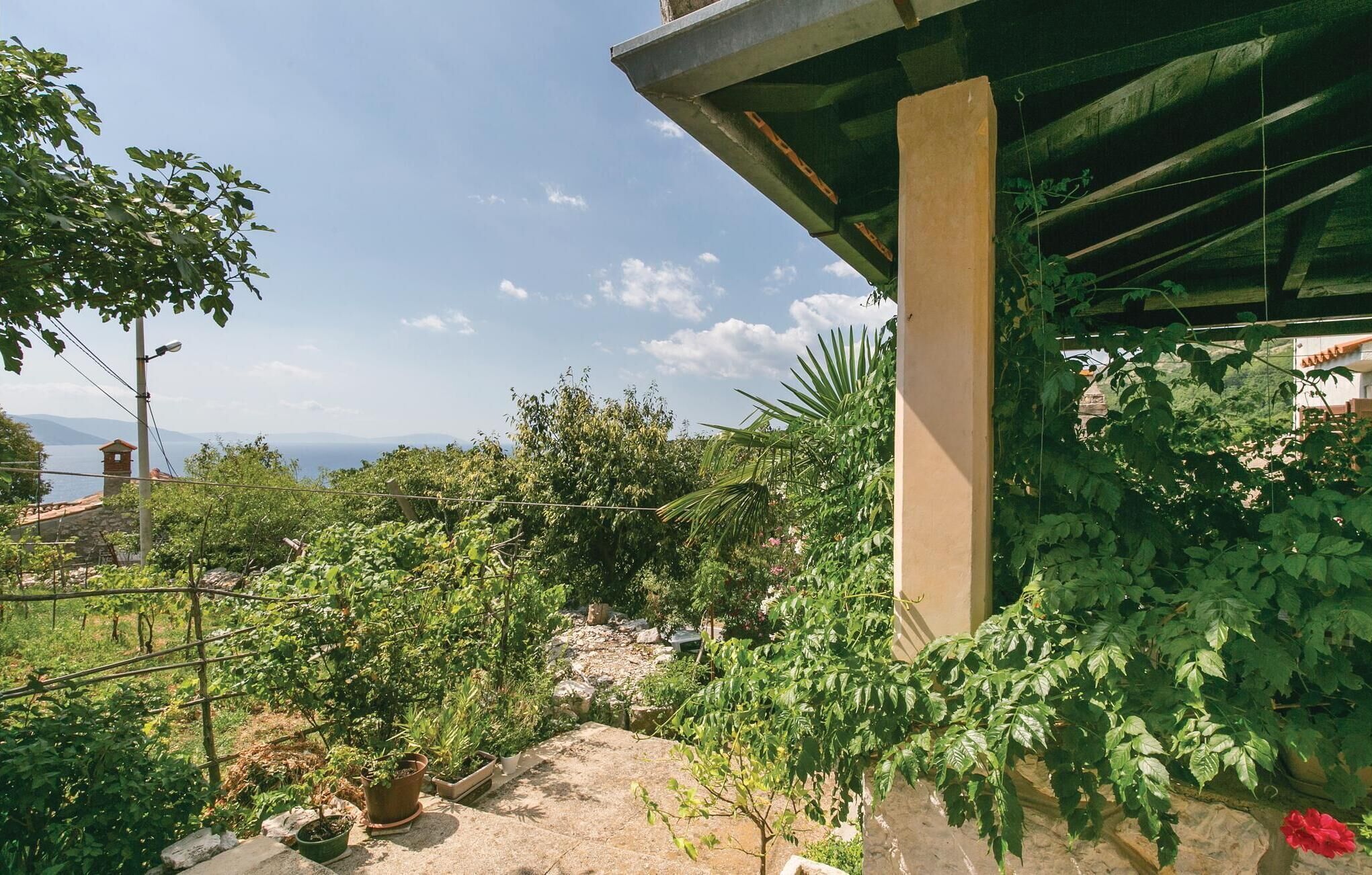 A garden with various plants and a view of the sea.