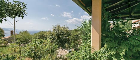 Un jardín con diversas plantas y vista al mar.