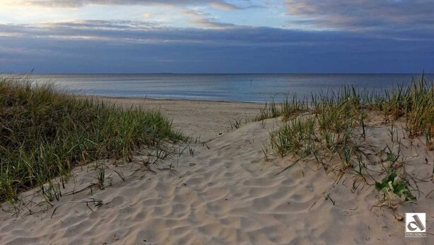 Una spiaggia con dune sabbiose ed erba in primo piano, che si estende verso l'oceano.