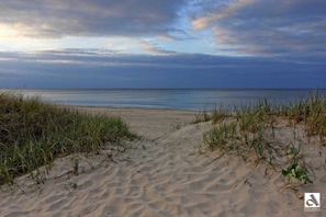 Une plage avec des dunes de sable et de l’herbe au premier plan, qui s’étend jusqu’à l’océan.