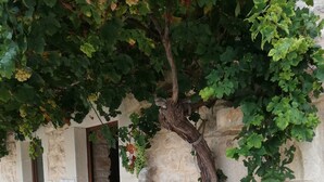 A stone building with a vine-covered wall and a doorway. - Le Chiuse di Guadagna (Scicli)