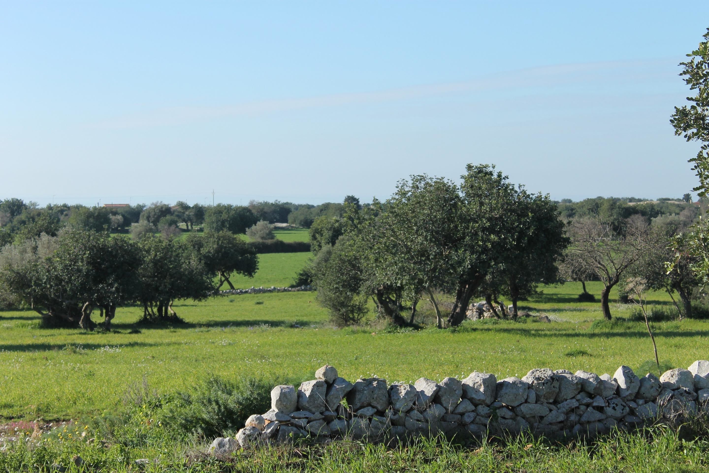 Muro de piedra en un campo verde con árboles y cielo despejado.