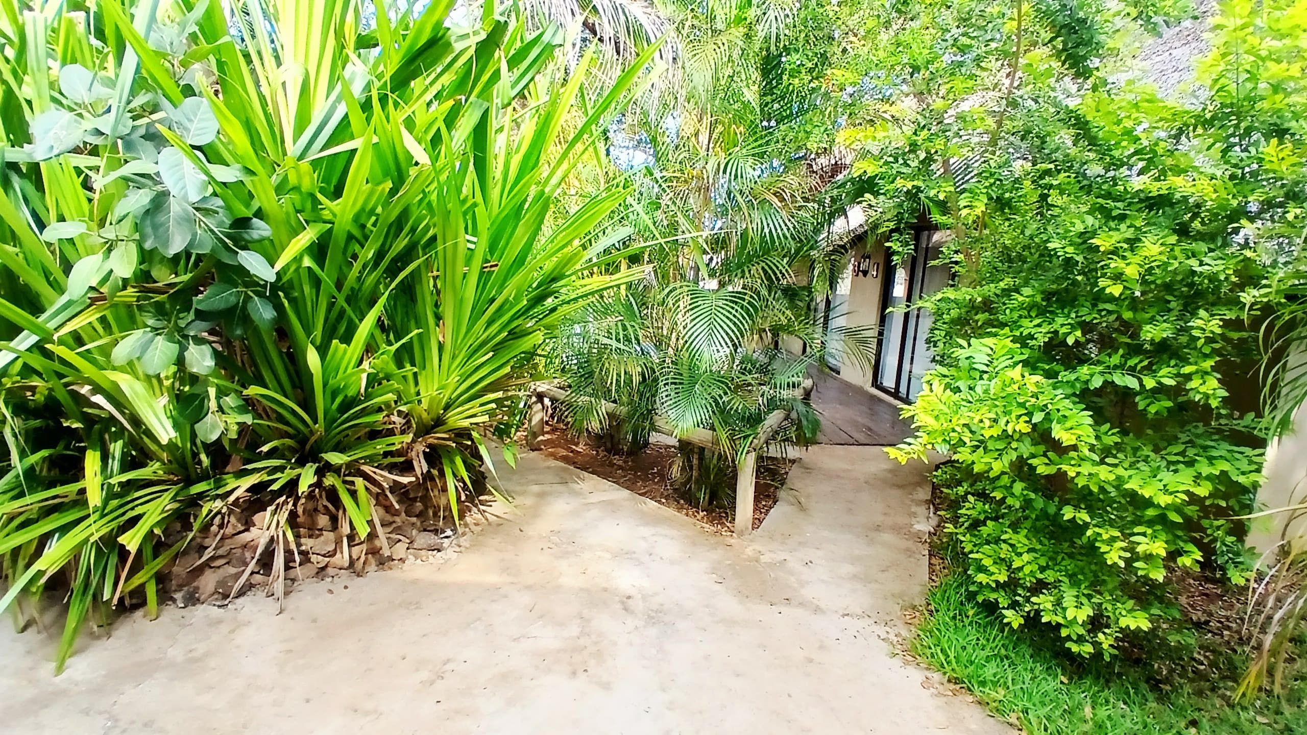 Uma passagem de concreto ladeada por vegetação exuberante e um muro de pedra.