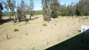 Luokittelematon kuva, 3 kautta 23, painike