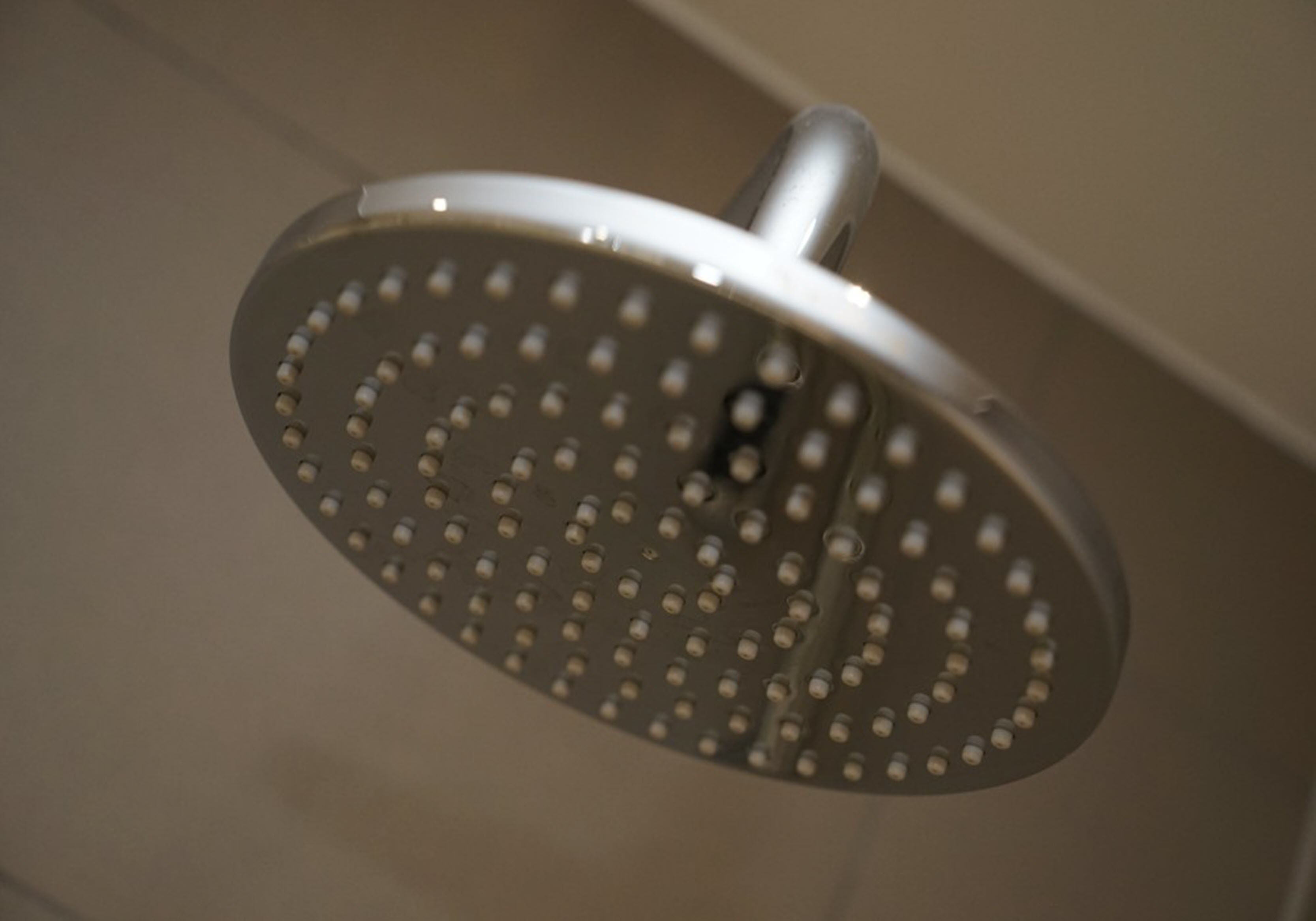A showerhead with a circular design and multiple small holes.