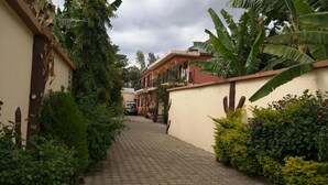 A narrow pathway flanked by lush greenery and buildings with balconies. - Bright Star Hotel (Arusha)