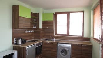 Family Apartment | Private kitchen | Fridge, microwave, stovetop, electric kettle