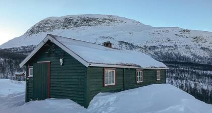 1 bedroom cozy home in Borgund