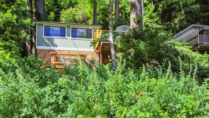 Eine Holzhütte mit einer Terrasse und einer kleinen Veranda, umgeben von dichtem Wald.