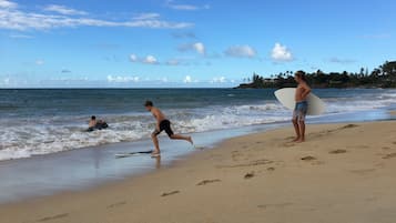 沙滩椅、沙滩毛巾