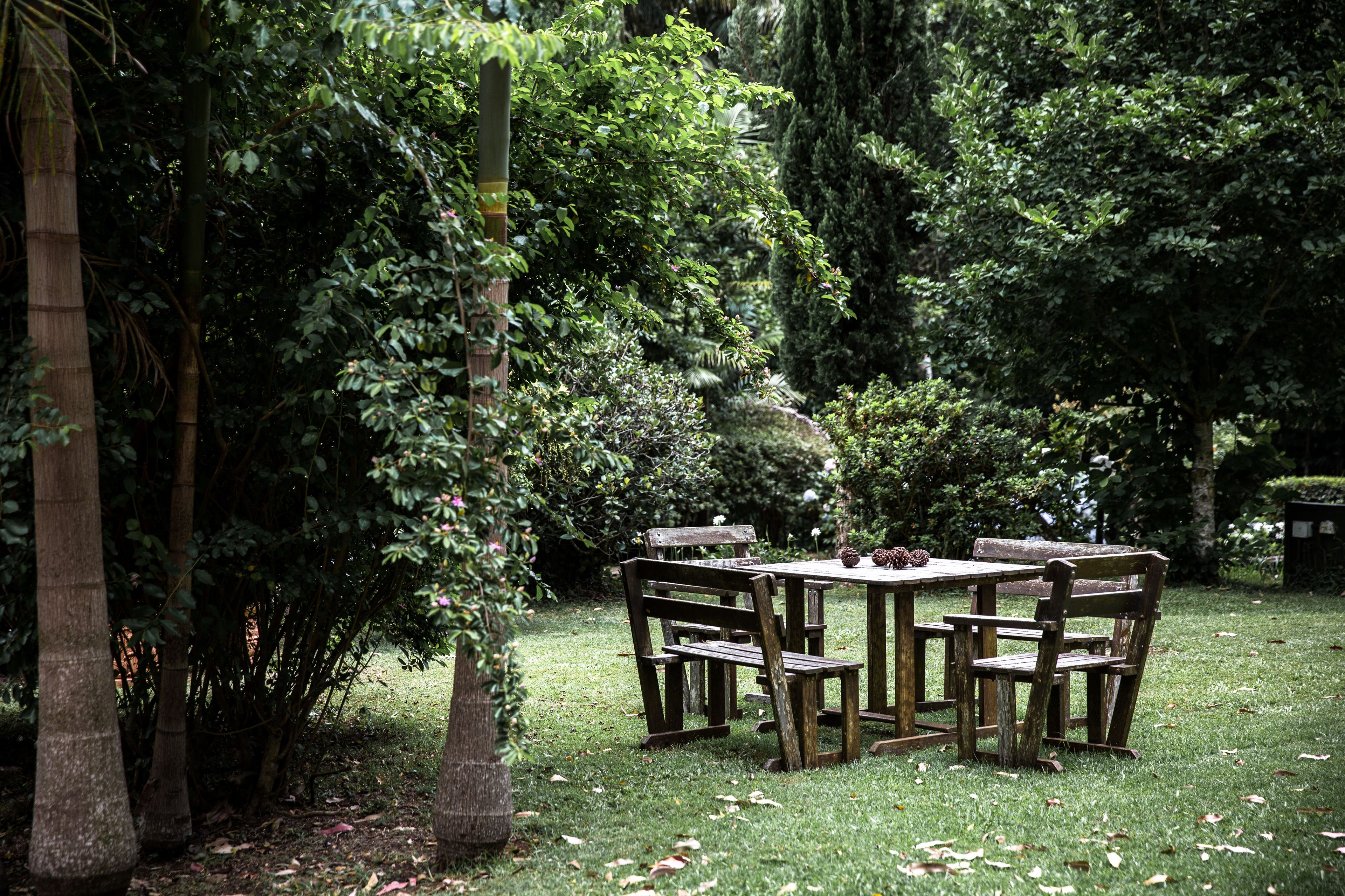 Un conjunto de mesa y sillas de madera en un jardín exuberante, con follaje denso y árboles altos.