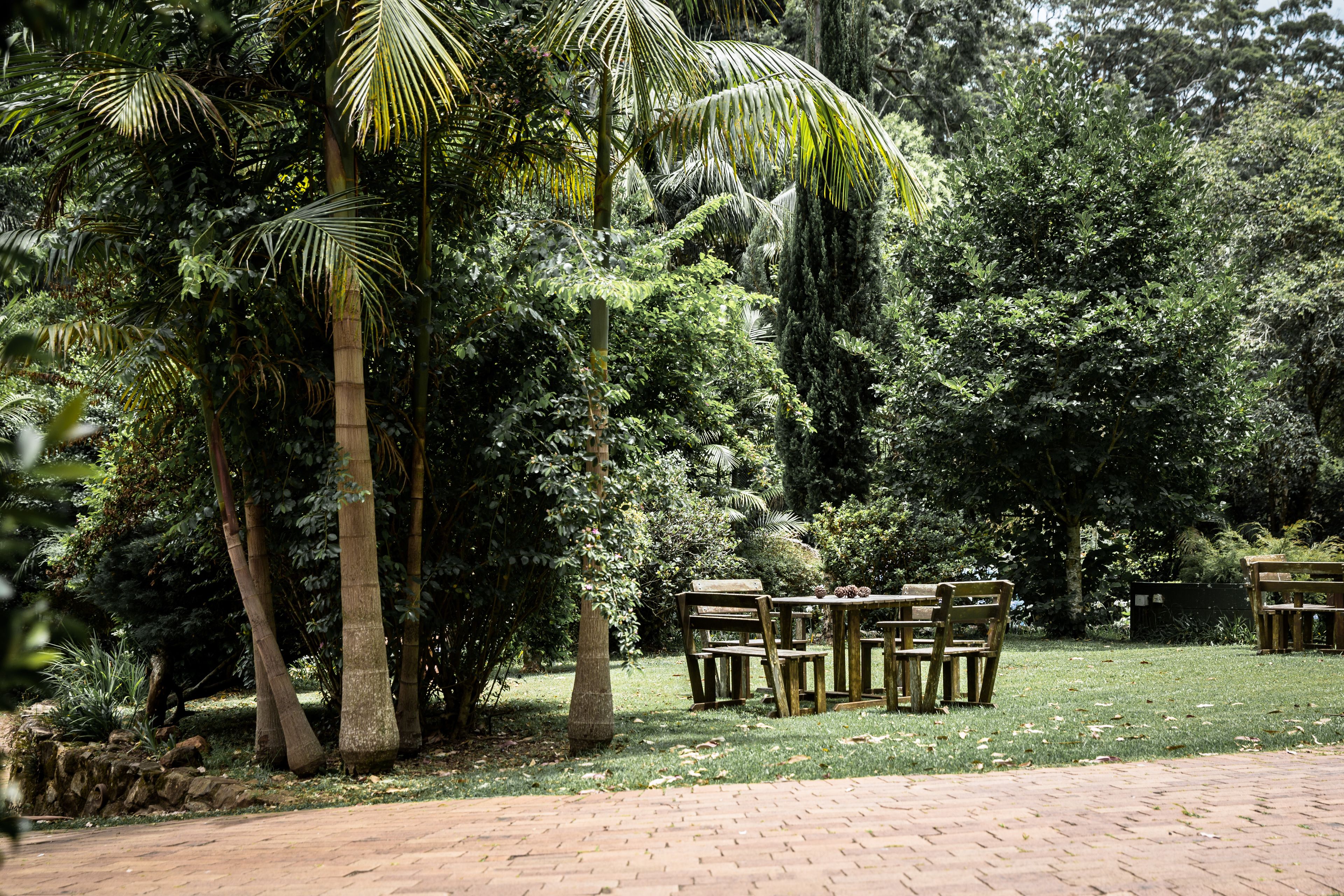 Un jardín con un sendero de ladrillo que lleva a una mesa y sillas de madera dispuestas para comer.