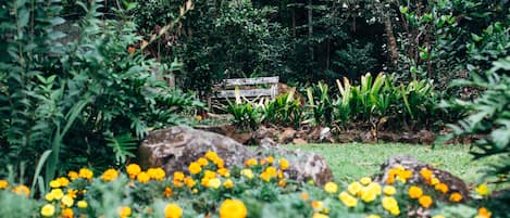 Un jardín con un banco de madera rodeado de rocas y flores amarillas.