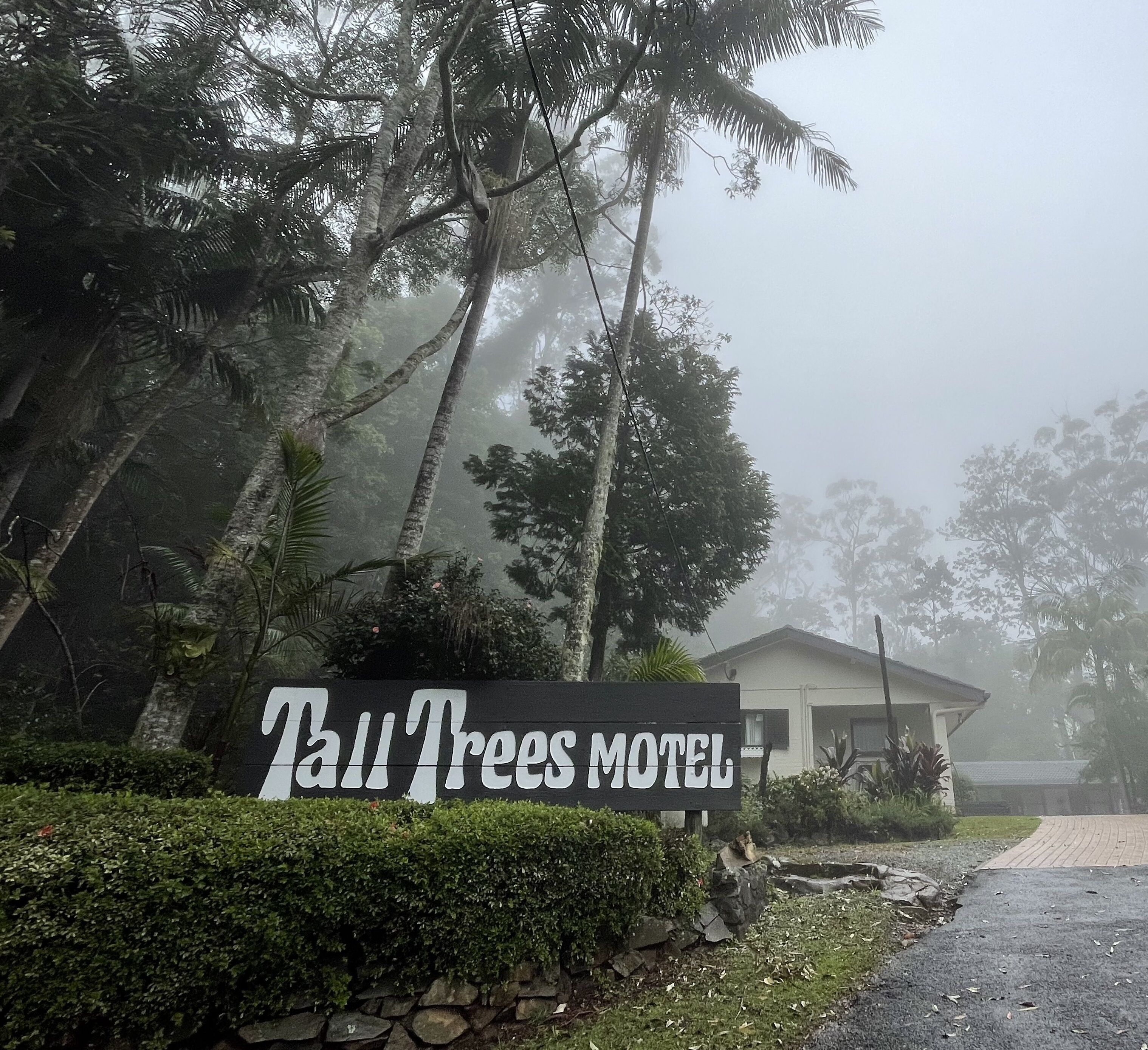 Placa do Tall Trees Motel com parede de pedra e vegetação ao fundo.